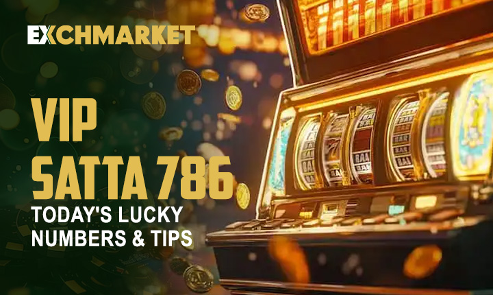 VIP Satta 786